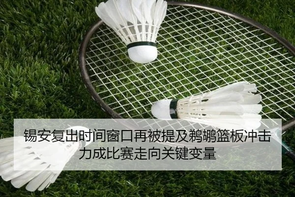 锡安复出时间窗口再被提及鹈鹕篮板冲击力成比赛走向关键变量