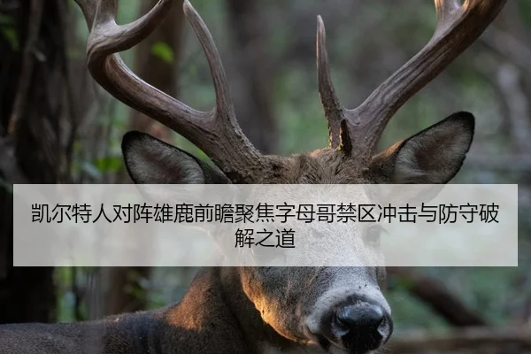凯尔特人对阵雄鹿前瞻聚焦字母哥禁区冲击与防守破解之道