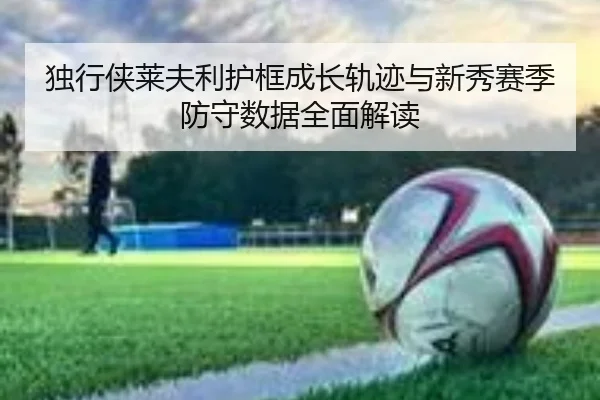 独行侠莱夫利护框成长轨迹与新秀赛季防守数据全面解读