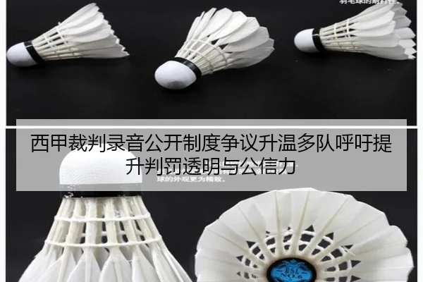 西甲裁判录音公开制度争议升温多队呼吁提升判罚透明与公信力